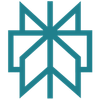 Perplexity logo